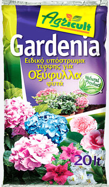 Gardenia