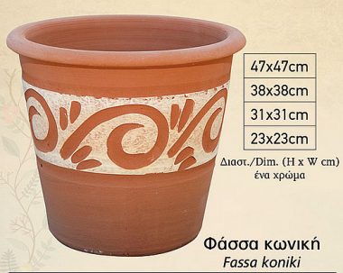 Φάσσα κωνική