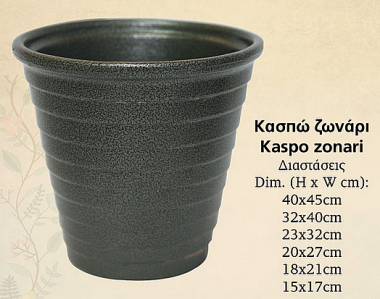 Κασπώ ζονάρι
